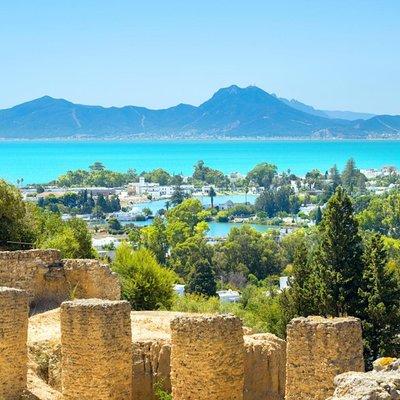 Carthage Discovery Half-Day Tour with Licensed Guide