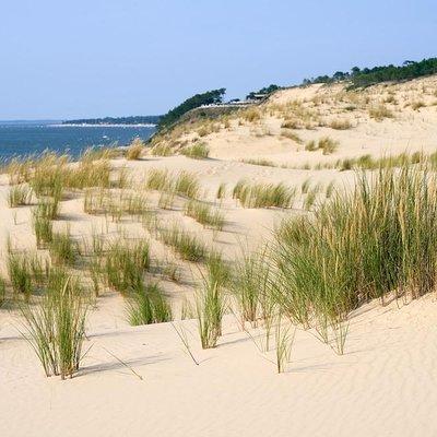 Dune du Pilat and Oysters Tasting in only 1 hour away from Bordeaux ! What else?