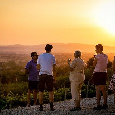 Winery tour with wine tasting from Assisi