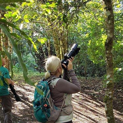 Full Morning Birdwatching Tour (Private Service)