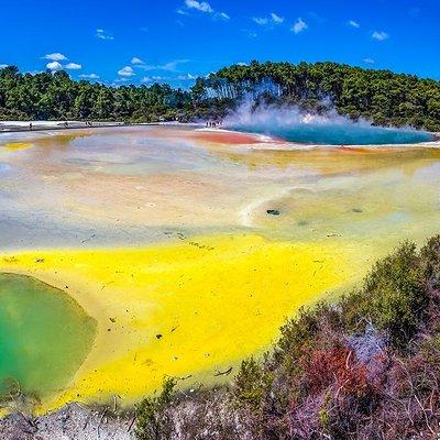 Rotorua Highlights Small Group Tour with Optional Extra Activities from Auckland