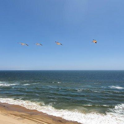  Cultural Tour in Swakopmund