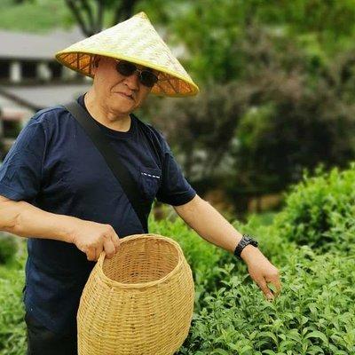 Hangzhou Longjing Tea Plantation Culture Experience Tour