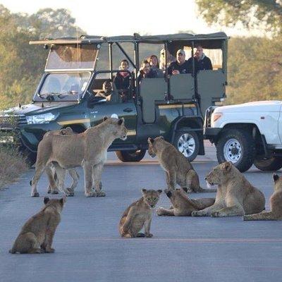 All Inclusive 3 Day Kruger Safari Adventure From Johannesburg