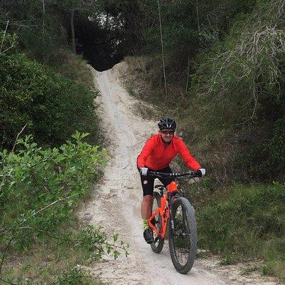 Guided mountain bike route - "Pata Negra" Tour