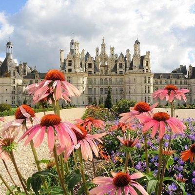 Day Tour of Chateaux of Chenonceau, Chambord & Caves Ambacia from Tours/Amboise