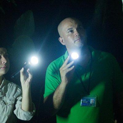 Small-Group Tortuguero National Park Night Walk in Costa Rica