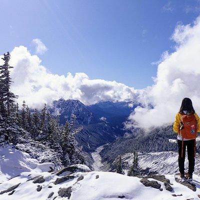 Best of Mount Rainier National Park from Seattle: All-Inclusive Small-Group Tour