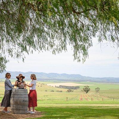 Small Group All Inclusive Barossa Valley Food and Wine Tour