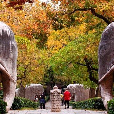 Nanjing Private Flexible Day Trip from Yangzhou with Lunch and Drop-Off Options 