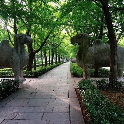 Nanjing Self-Guided Tour from Yangzhou with Private Car and Driver Service