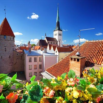 Old Tallinn with Kadriorg & Pirita