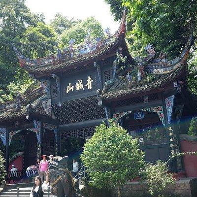 Dujiangyan Panda Base and Mt.Qingcheng one day tour 