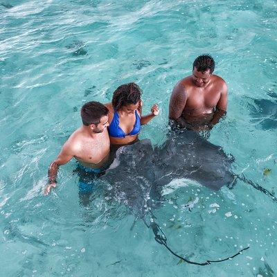 Bora Bora Eco Snorkel Cruise Including Snorkeling with Sharks and Stingrays