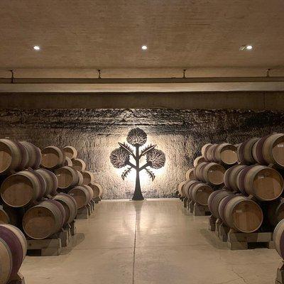 Rioja Alavesa Wineries and Medieval Villages Day Trip