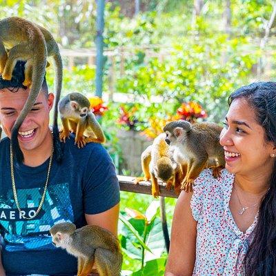 Monkeyland Puerto Plata