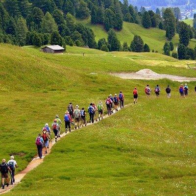 "Camino de Santiago": PORTUGUESE WAY. Private Walking Tour from Tui