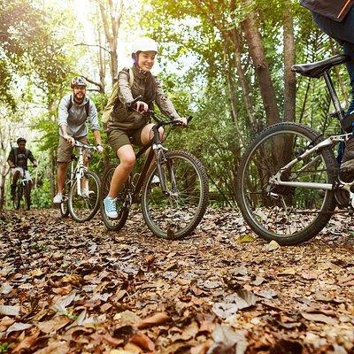 Private "Camino de Santiago" (The Way Of St. James) BY BIKE from Leon