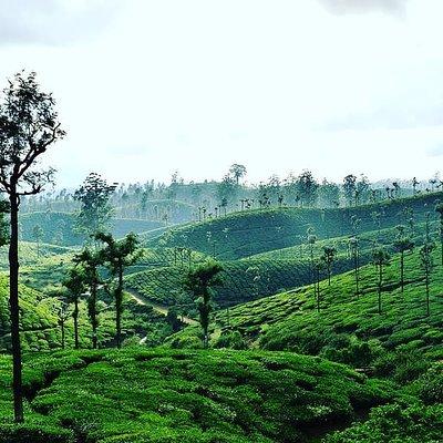 Hill Station Tour from Coimbatore to Valparai 