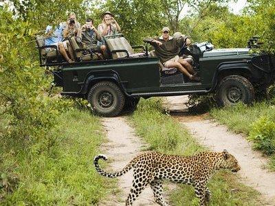 Durban: Big 5 Luxury Safari at an Award Winning Game Reserve — Zeiss Binoculars