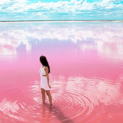 Las Coloradas Natural Pink Lake Tour from Cancun & Riviera Maya