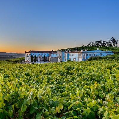 Guided tour of Bodegas Granbazán