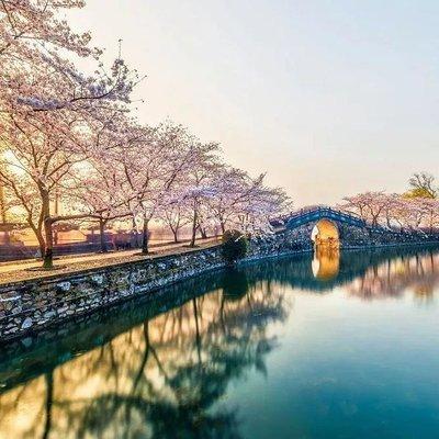 Private Transfer between Wuxi Yuantouzhu Scenic Spot and City Hotel