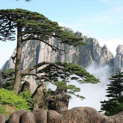 4-Day Shanghai Private Sightseeing Tour from Mount Huangshan