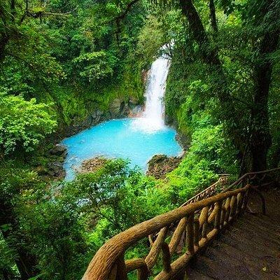 Río Celeste-Tenorio Volcano and Sloth Watching Tour From Guanacaste