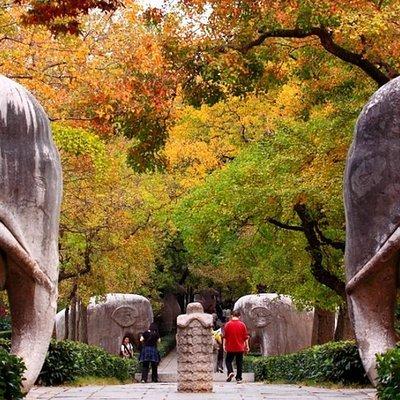 6-Hour Private Tour of Xiaoling Tomb,City Wall & Memorial Hall 