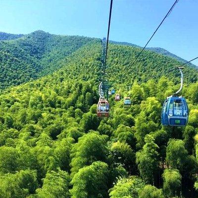 Yixing Bamboo Forest Private Day Tour from Wuxi with Lunch