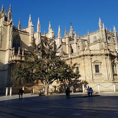 Guided Tour Sevilla Cathedral 