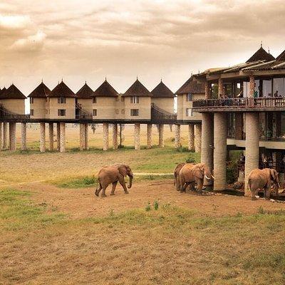 2-Day Safari in Taita Hills from Mombasa