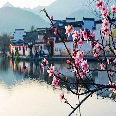 Hongcun and Xidi Ancient Village Private Day Tour from Huangshan