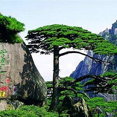 All Inclusive Huangshan Yellow Mountain and Tunxi Old Street Private Day Tour