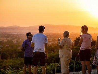 Enjoy and Taste the Flavors of Wine in an Open-air Venue