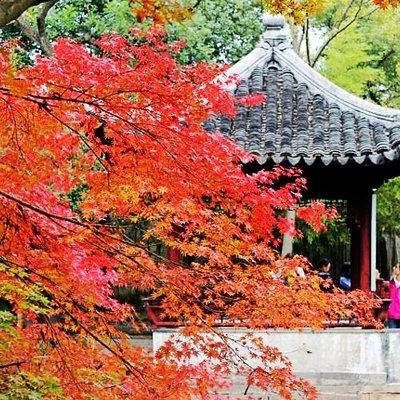 4-Hour Suzhou Private Flexible Tour with Garden and Boat Ride Option