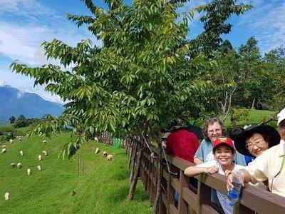 5-day Taiwan Family Fun Private Tour