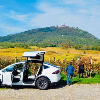 Alsace Discovery Private Tour with Local Villages & Castles