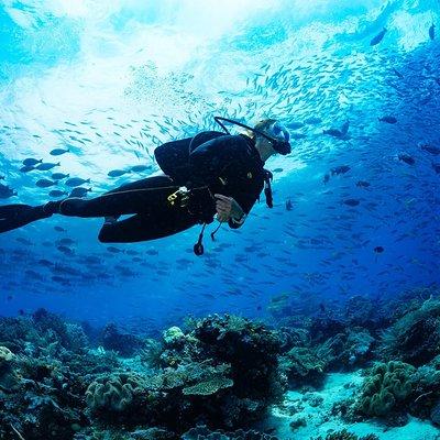 Half-day Scuba Diving Experience in Oludeniz