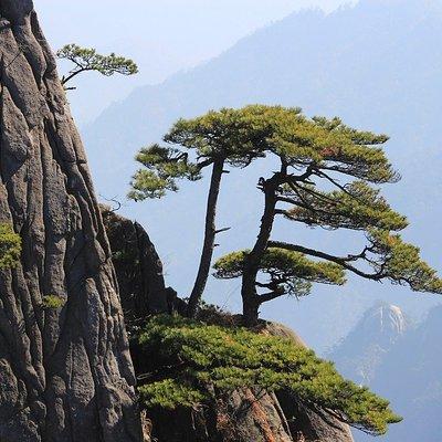 The Best of Huangshan Walking Tour