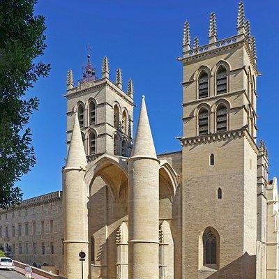 Private 2-hour Walking Tour of the Historical Center of Montpellier