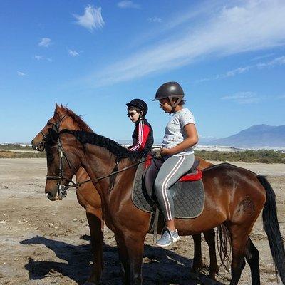 Horseback riding on the beach in Roquetas de Mar