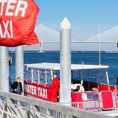 Charleston Water Taxi Cruise with Dolphin Sighting