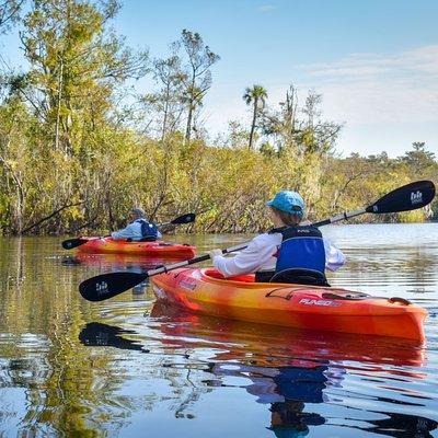 Everglades Guided Kayak Tour