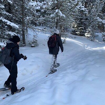 Snowshoeing Adventure in the Rocky Mountains Close to Denver