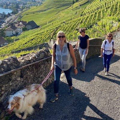 Vine Stories: Lavaux & Lutry wine walk