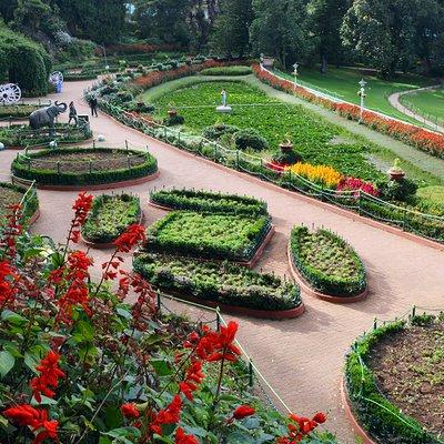 Heritage & Cultral Walking Tour Ooty (2 Hours Guided Walking Tour)