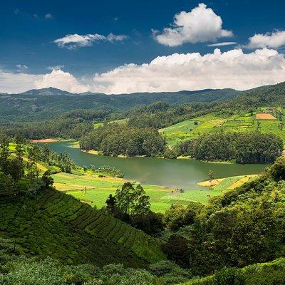 Touristic Highlights of Ooty (Guided Full Day City Sightseeing Tour by Car)