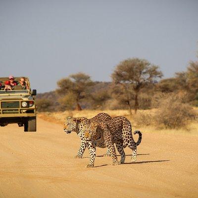 12 Day Classic Namibia Camping Safari